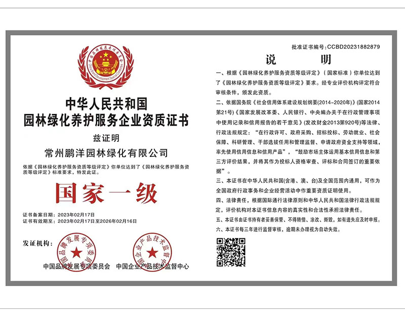 榮譽證書