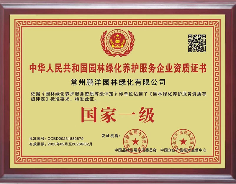 榮譽證書